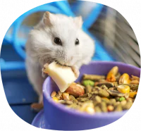 petair tiertransport kleintiere hamster futter petair tiertransport kleintiere hamster futter